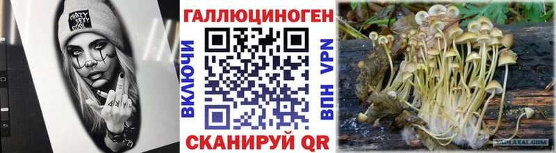KRAKEN как войти  Слюдянка  Галлюциногенные грибы MAGIC MUSHROOMS 